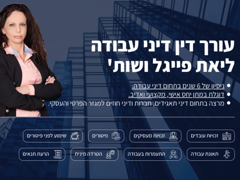 ליאת פייגל גלרייה 1